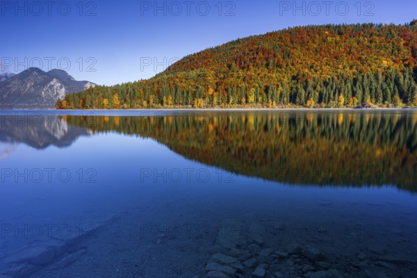 Mountain lake, mountains, morning light, reflection, autumn, autumn color, forest, shore, Walchensee, Upper Bavaria, Bavaria, Germany