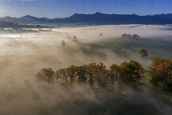 Trees, oaks, beech trees, sunny, morning light, autumn color, fog, aerial view, Riegsee, view of Kochler Mountains, foothills of the Alps, Upper Bavaria, Bavaria, Germany