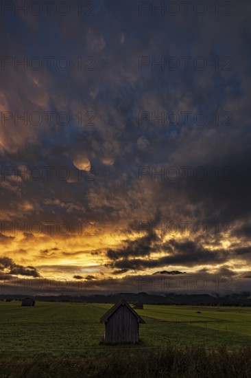 Morning red, morning mood, cloud atmosphere, hut, mountains, clouds, fog, dark, foothills of the Alps, Bavaria, Germany