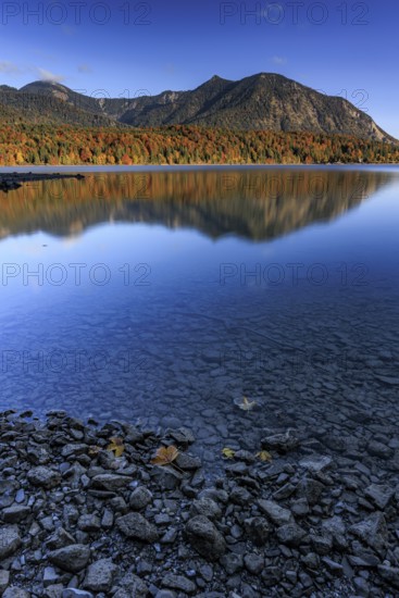 Mountain lake, mountains, morning light, reflection, autumn, autumn color, forest, shore, Walchensee, Upper Bavaria, Bavaria, Germany
