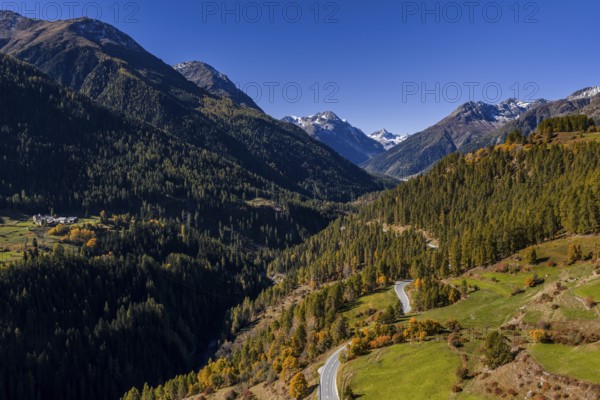 Road, mountains, forest, sunny, autumn, Lower Engadine, Switzerland