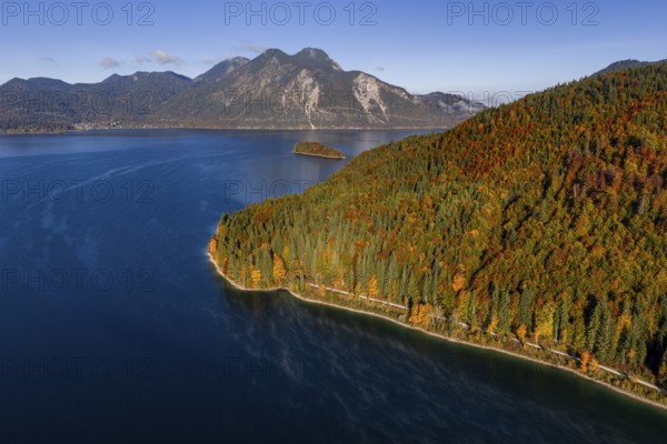 Mountain lake, mountains, sunny, morning light, autumn, autumn color, forest, aerial view, Walchensee, Upper Bavaria, Bavaria, Germany