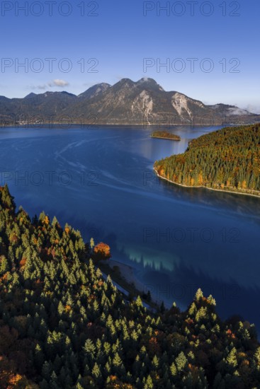 Mountain lake, mountains, sunny, morning light, autumn, autumn color, forest, aerial view, Walchensee, Upper Bavaria, Bavaria, Germany