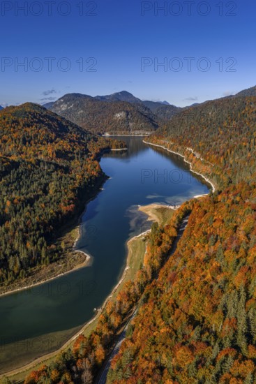 Mountain lake, mountains, sunny, morning light, autumn, autumn color, forest, aerial view, Sylvensteinsee, Upper Bavaria, Bavaria, Germany