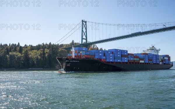 Container ship loaded with containers sails under the Lions Gate Bridge, Vancouver Harbor, Vancouver, Canada