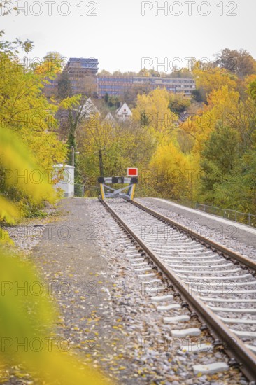 Railway tracks in autumn with yellow trees and hills, ZOB Calw, Hermann Hessebahn, Calw, Germany