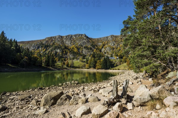 Picturesque mountain lake in autumn, Lac de Forlet, Lac des Truites, Col de la Schlucht, Vosges, Alsace-Lorraine, Department of Vosges Haut-Rhin, France
