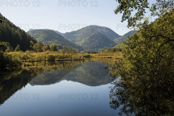 Picturesque moor lake in autumn, Lac de Urbès, Vosges, Alsace-Lorraine, Vosges Haut-Rhin department, France