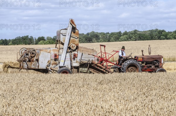 Older tractor-drawn Claas combine harvester harvesting wheat at old-fashioned harvest festival in Svenstorp, Ystad municipality, Skåne county, Sweden, Scandinavia