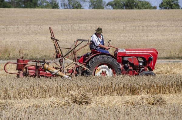 Older Allgaier-Porsche tractor with self-binder harvesting wheat at old-fashioned harvest festival in Svenstorp, Ystad municipality, Skåne county, Sweden, Scandinavia