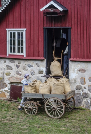 Older wagon with sacks of grain being delivered to the mill in Svenstorp, Ystad Municipality, Skåne County, Sweden, Scandinavia