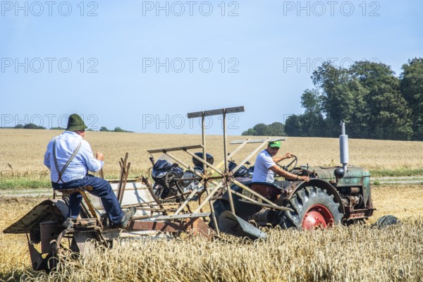 Older tractor-drawn self-binder harvesting wheat at old-fashioned harvest festival in Svenstorp, Ystad municipality, Skåne county, Sweden, Scandinavia