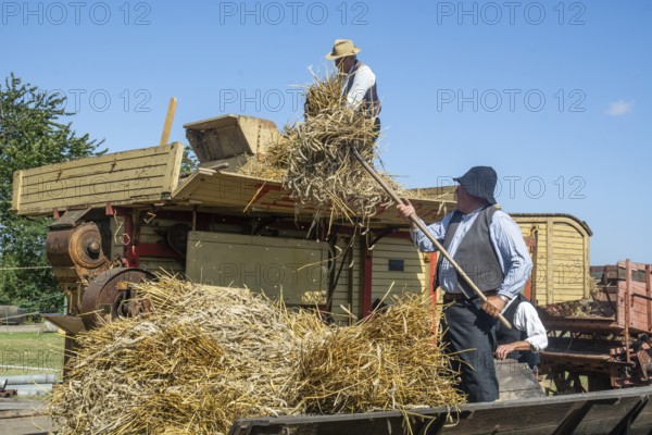 Work at old stationary thresher at old-fashioned harvest festival in Svenstorp, Ystad municipality, Skåne county, Sweden, Scandinavia
