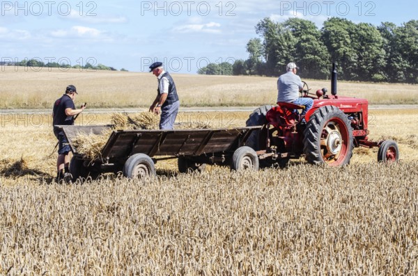 Older tractor with wagon in harvesting wheat at old-fashioned harvest festival in Svenstorp, Ystad municipality, Skåne county, Sweden, Scandinavia