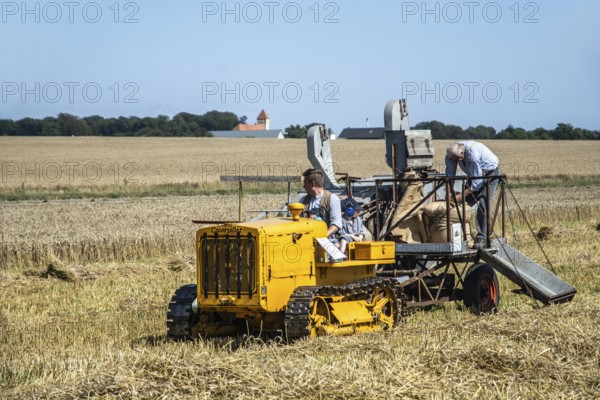 Older Caterpillar tractor with harvesting machine harvesting wheat at old-fashioned harvest festival in Svenstorp, Ystad municipality, Skåne county, Sweden, Scandinavia