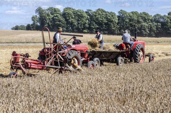 Older Allgaier-Porsche tractor with self-binder and tractor with wagon harvesting wheat at old-fashioned harvest festival in Svenstorp, Ystad municipality, Skåne county, Sweden, Scandinavia