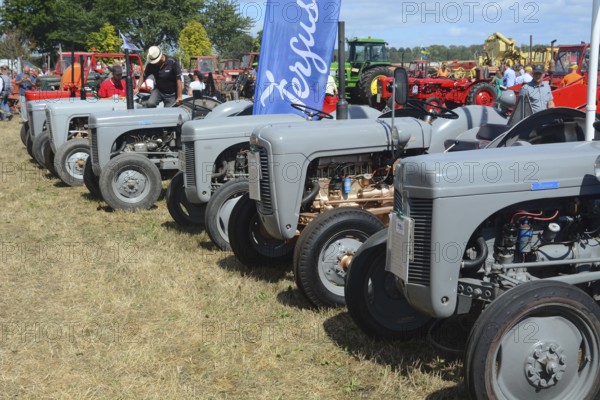 Row of Ferguson tractors at old-fashioned harvest festival in Svenstorp, Ystad municipality, Skåne county, Sweden, Scandinavia