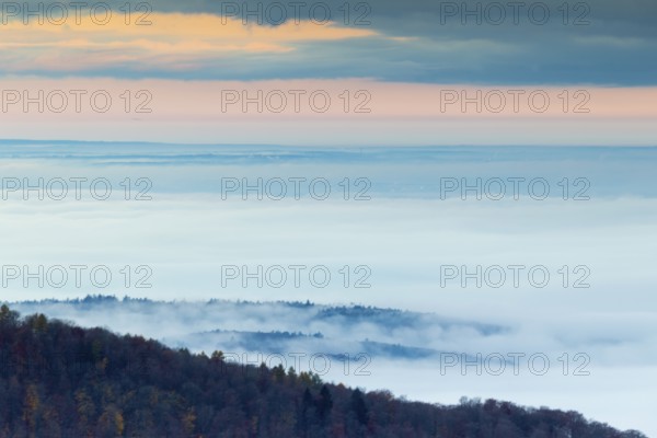 Inversion weather, fog, sunrise, autumn, view from Breitenstein in Mischwald, Ochsenwang, Swabian Alb, Baden-Württemberg, Germany