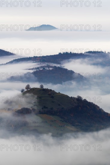 Inversion weather, fog, dawn, autumn, view from Breitenstein to Limburg, Ochsenwang, Swabian Jura, Baden-Württemberg, Germany