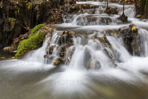 Sinterterrassen der Weißen Lauter, Bach, Water, Autumn, Donntal, Gutenberg, Swabian Jura, Baden-Württemberg, Germany