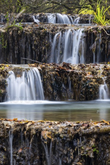Sinterterrassen der Weißen Lauter, Bach, Water, Autumn, Donntal, Gutenberg, Swabian Jura, Baden-Württemberg, Germany
