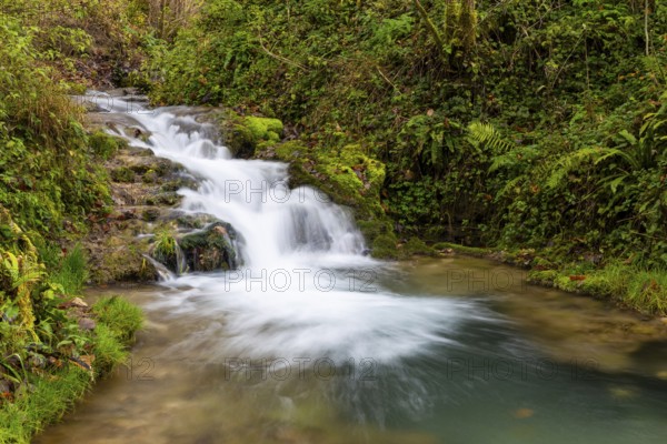 Small waterfall, sinter steps, autumn, Brühlbach, Maisental, Bad Urach, Swabian Jura, Baden-Württemberg, Germany