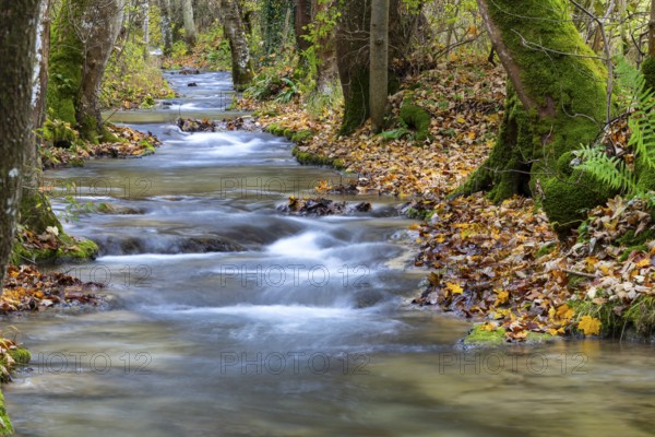 Small steps in the stream, water, autumn, Brühlbach, Maisental, Bad Urach, Swabian Jura, Baden-Württemberg, Germany