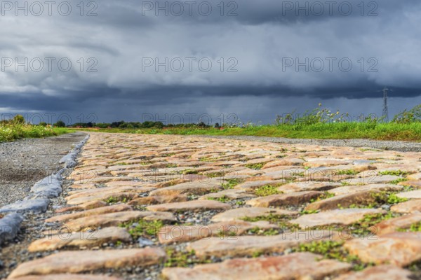 Pav l'Arbre, Cobblestones at the cycling classic Paris to Roubaix, Departement North, France
