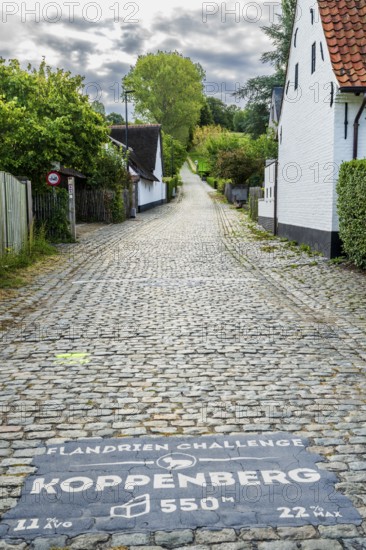 Hill of Koppenberg, Cobblestones at the cycling classic Tour of Flanders, Ardennes, Flanders, Belgium