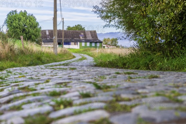 Hill of Oude Kwaramont, Cobblestones at the cycling classic Tour of Flanders, Kluisbergen, Ardennes, Flanders, Belgium
