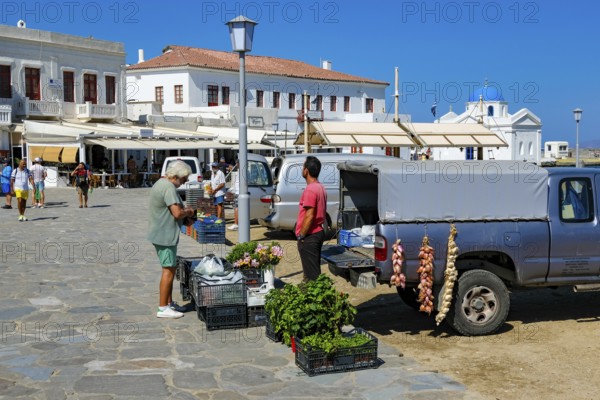 Mykonos, Cyclades, Greece - Vegetable seller sells vegetables, herbs and flowers directly from his van to tourists and locals at the port, old town of Mykonos Town, Mykonos Chora. Mykonos is part of the Cyclades archipelago