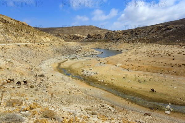Mykonos, Cyclades, Greece - Dry Fokos Reservoir near Ano Mera. The Mykonos Municipal Water Supply and Sewage Management Company has two dams, Marathi Reservoir and Fokos Reservoir, to supply water to the island. Due to the prolonged drought, both are almost empty and are not being used