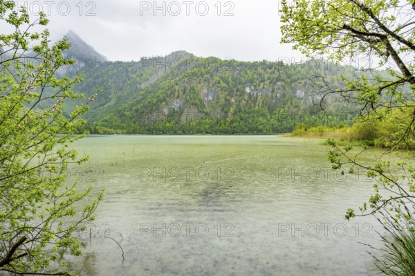 Landscape of Lake Offensee on a rainy day in spring, Salzkammergut, Austria