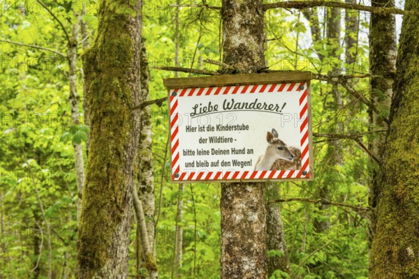 Information sign hanging on a tree trunk for hikers in a forest, Bavaria, Germany