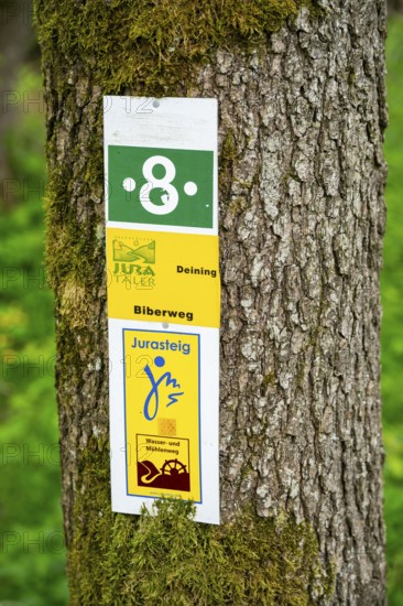 Information sign hanging on a tree trunk for hikers in a forest, Bavaria, Germany