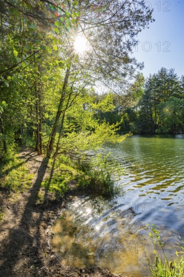 Landscape of a little lake on a sunny day in spring, Upper Palatinate, Bavaria, Germany
