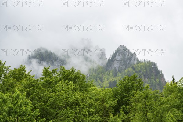 View into the mountains next to Lake Offensee on a rainy day in spring, Salzkammergut, Austria, Europe, Salzkammergut, Austria, Europe