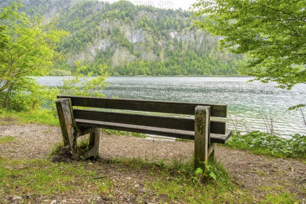 Park bench standing beside beside and with view onto Lake Offensee on a cloudy day in spring, Salzkammergut, Austria