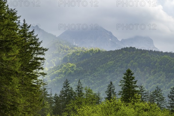View into the mountains next to Lake Almsee on a rainy day in spring, Traunstein summit, Traunkirchen, Salzkammergut, Austria