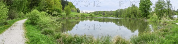 Landscape of a little lake on a cloudy day in spring, Upper Palatinate, Bavaria, Germany