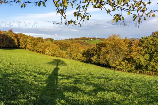 Autumn landscape in Elfringhauser Switzerland, south of Velbert-Langenberg, part of the Neanderland Steig hiking trail, Germany