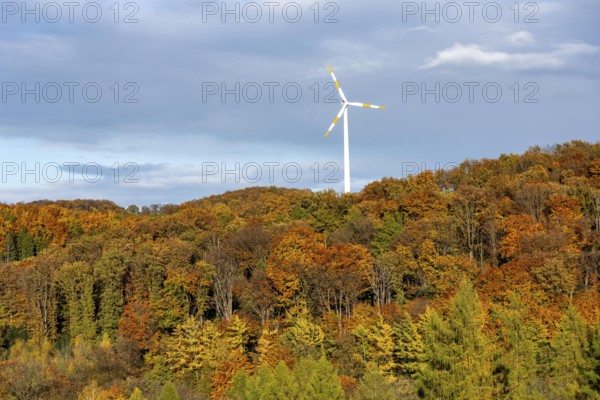 Autumn landscape in Elfringhauser Switzerland, south of Velbert-Langenberg, wind turbine, Germany