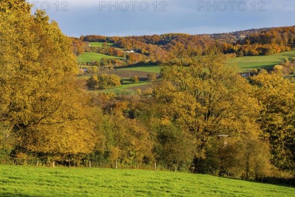 Autumn landscape in Elfringhauser Switzerland, south of Velbert-Langenberg, Germany
