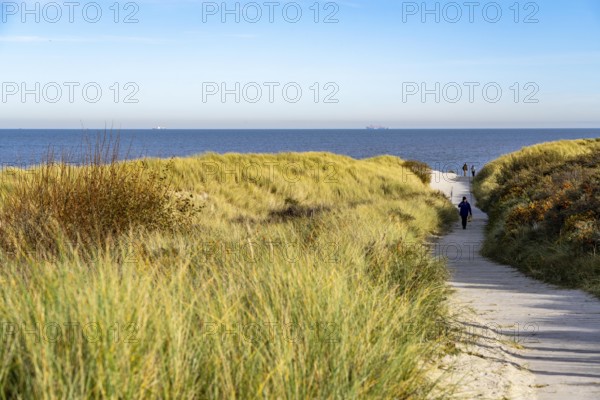 East beach of the East Frisian island of Spiekeroog, beach access through the dunes of Lower Saxony, Germany