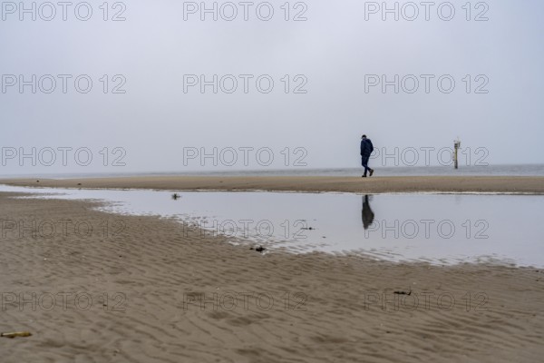 East beach of the East Frisian island of Spiekeroog, beach walk, man alone on the beach, at low tide, fog, calm of wind, tidal creek, Lower Saxony, Germany
