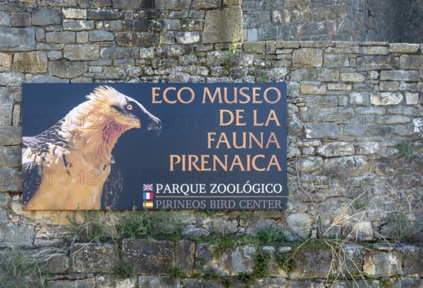 Eco Museum of Pyrenees fauna, Ainsa, Aínsa-Sobrarbe, Huesca province, Aragon, Spain