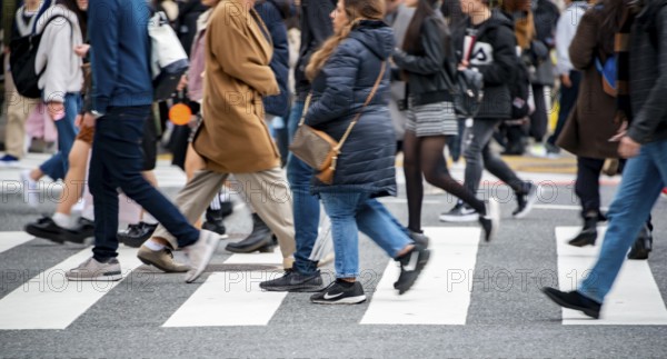 Pedestrian, crowd, lots of people crossing crosswalks, close-up, Shibuya Crossing, Shibuya, Udagawacho, Tokyo, Japan