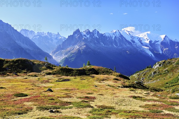 Autumnal landscape with snow-covered Mont Blanc massif in the background, Chamonix-Mont-Blanc, Haute-Savoie, France
