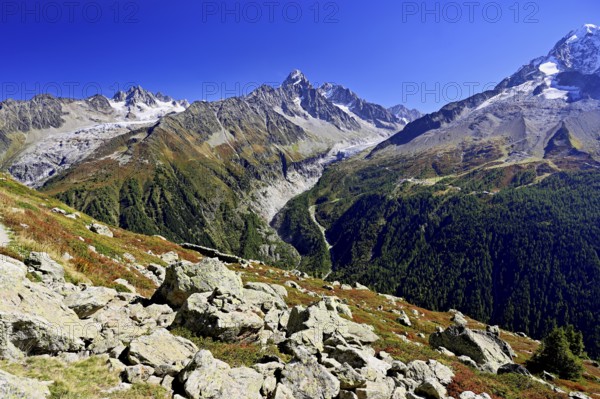 From left front Glacier du Tour back Aiguilles du Tour, right Aiguille du Chardonnet, in front foothills of the Argentière Glacier, Chamonix-Mont-Blanc, Haute-Savoie, France