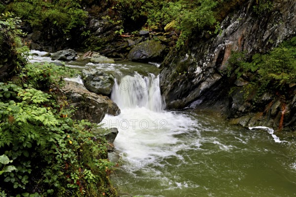 Small waterfall, Diosaz mountain river in the gorge, Gorges de la Diosaz, Les Houches, Chamonix-Mont-Blanc, Haute-Savoie, France